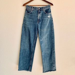 Everlane The Way-High Jean